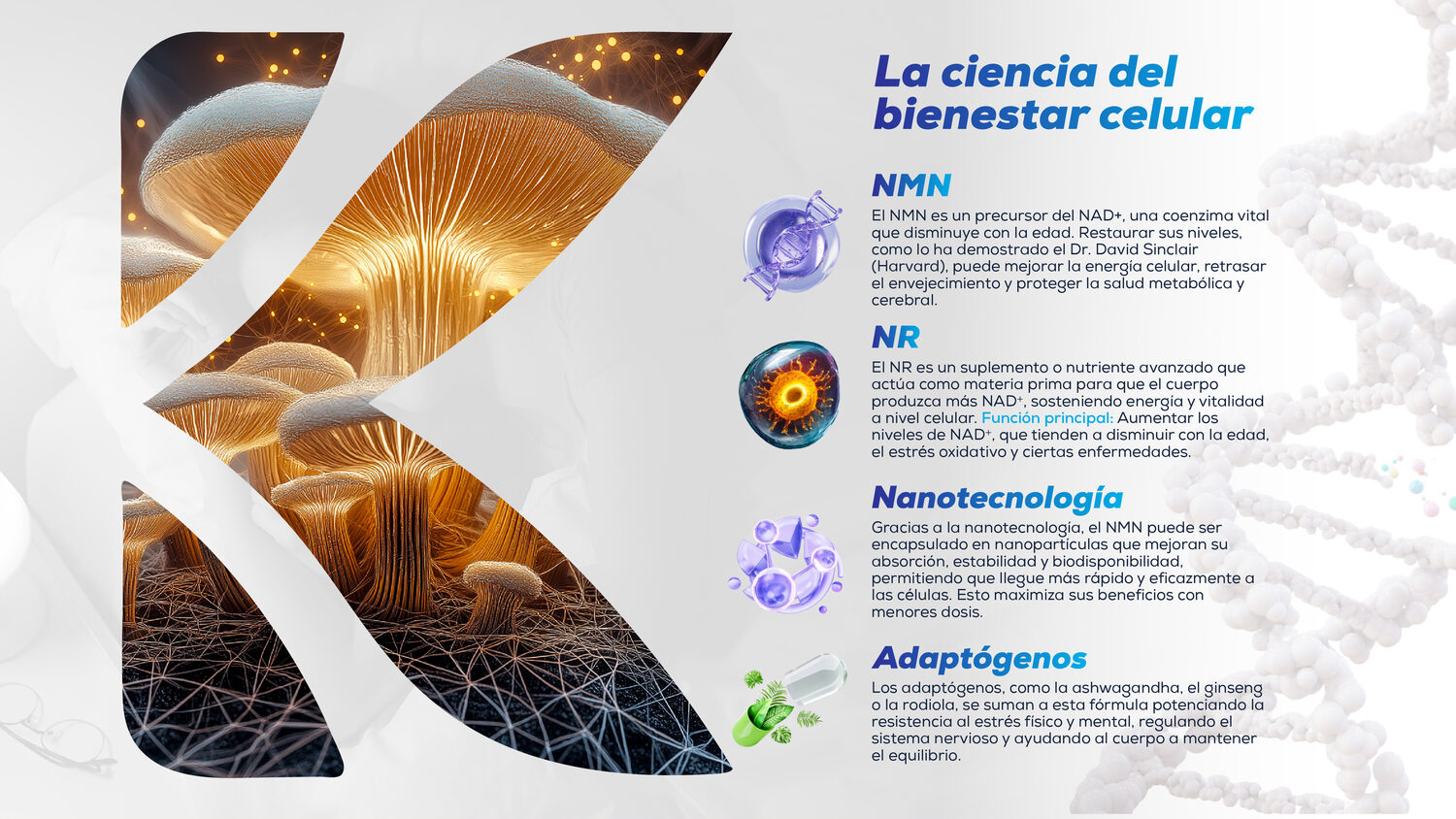 Salud y Bienestar